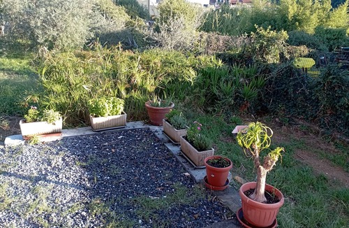 Andora House | Grandparents' House Apartment