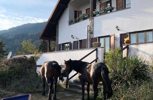 Borzonasca Apartment | Holiday apartment Borzonasca for 1 - 5 persons with 1 bedroom - Holiday apartment