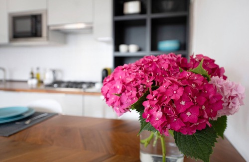 Predore Apartment | Holiday Apartment "Residence Perlago Fiordaliso" with Lake View, Shared Terrace & Wi-Fi