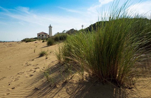 Bibione Pineda Apartment | Holiday apartment with private garden and air conditioning