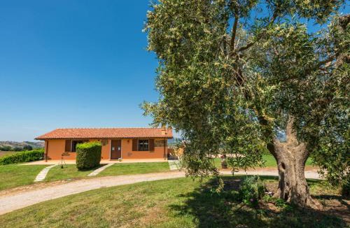 Scansano House | Holiday Home Arancio by Interhome