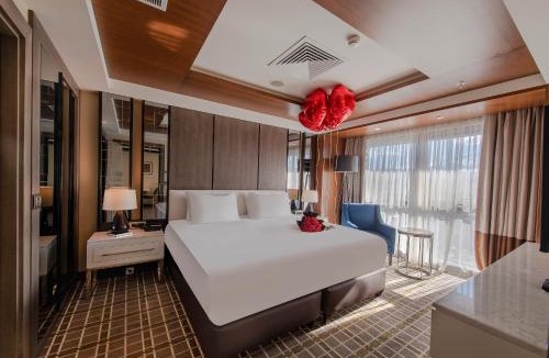 Kayseri City Center Hotel | Holiday Inn Kayseri - Duvenonu by IHG