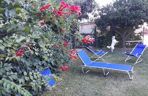 Canosa Sannita Apartment | Homerez - Studio in Canosa Sannita
