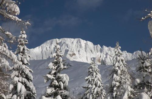 Rocca Pietore Hotel | Hotel Albe