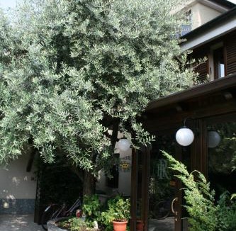 Carugate Hotel | Hotel Rocco