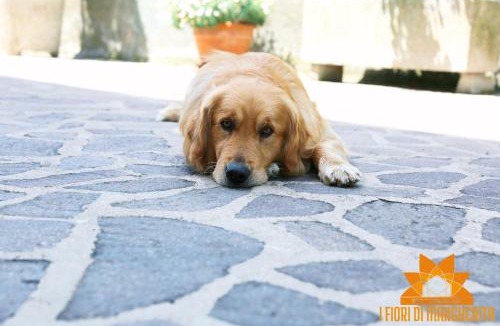 Perugia Bed & Breakfast | I Fiori di Margherita Luxury B&B