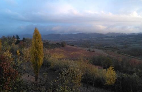 Zoalengo Bed & Breakfast | I Quattro Gatti
