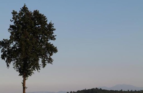 Bene Vagienna Bed & Breakfast | Il Forno Dal 1922