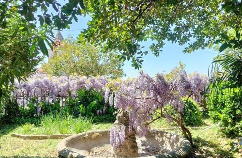Raviscanina Bed & Breakfast | Il giardino di Emilia