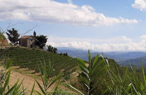 Montabone Bed & Breakfast | Il Giardino di Mai Exclusive B&b