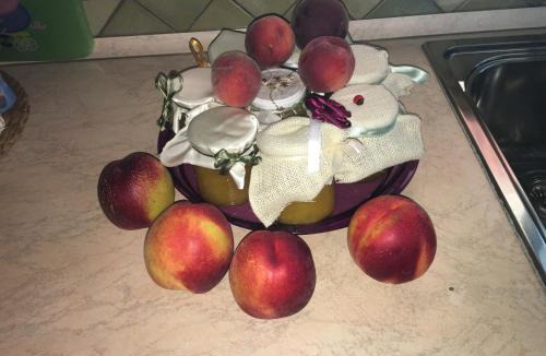 Fiumefreddo Bruzio House | Il Mare A Due Passi