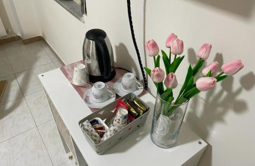 Marcianise House | Il Tulipano