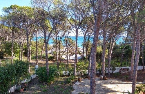 Cala Liberotto Apartment | PINE CONE DIRECT ACCESS TO THE BEACH (NO WIFI) CIN IT091063C2000S5156