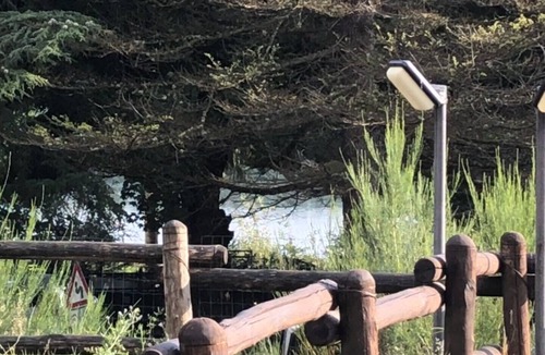 Lorica House | Tra il Bosco e il Lago - Casa Ginestra