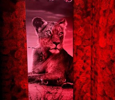 Castrovillari Hotel | L'H LION's RED SUITE