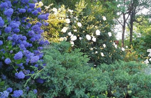 Busca Bed & Breakfast | 'L Ramassin