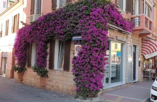 Arma di Taggia House | La Bouganville