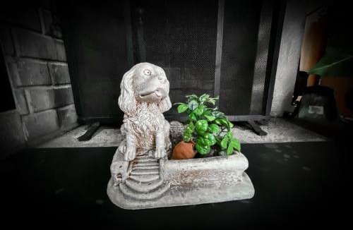 Ceparana House | La Casa d’Amelia
