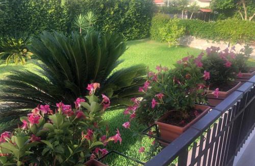 Lamezia Terme Apartment | La casa di Asia