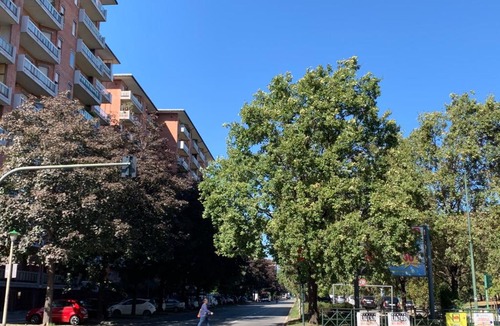 Mirafiori Apartment | La Casa di Katy by Holiday World