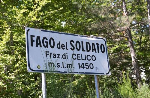 Celico Cabin | La casa nel bosco