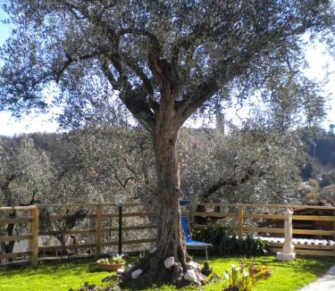Arcola House | la casetta del nonno