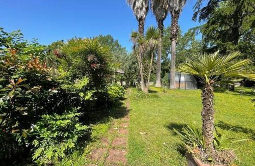 Gianicolo Villa | La Dolce Vita - A Tropical Garden in Rome