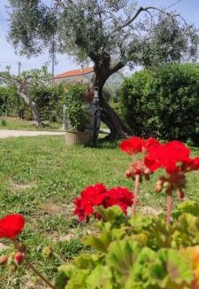 Ripa Teatina Apartment | La Fattoria dei Desideri