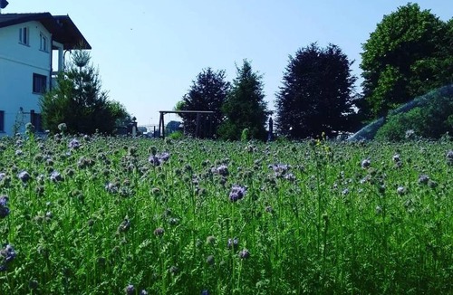 Candiolo Bed & Breakfast | La Lumaca Nel Pozzo