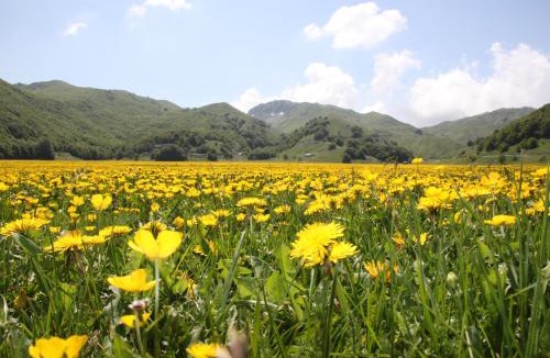 San Massimo Bed & Breakfast | La Pinetina