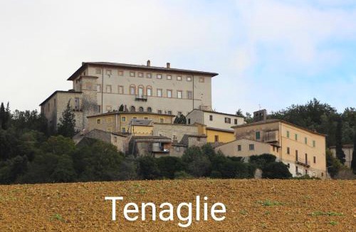Montecchio Apartment | La Selvarella