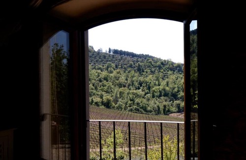 Gaiole in Chianti House | La stalla