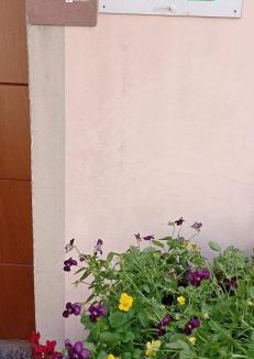 Albate Bed & Breakfast | La Tegola