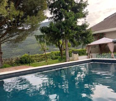 Arguis Villa | LAS AMAPOLAS
