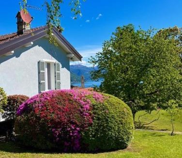 Gonte House | Le Betulle