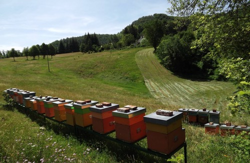 Livergnano Other | Little Raieda Farmhouse: the first stop on the Path of the Gods
