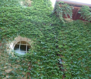 Savigno Bed & Breakfast | Locanda Amerigo