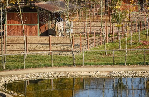 Rovigo House | Lodging immersed in the tranquility of the Polesana countryside