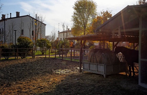 Rovigo House | Lodging immersed in the tranquility of the Polesana countryside