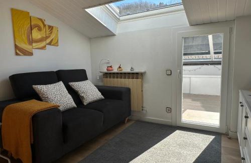 Sant Joan de Les Abadesses Apartment | Loft del Taga