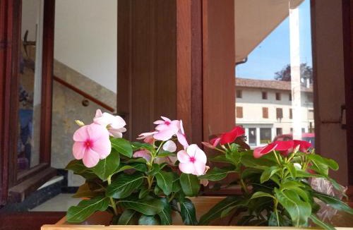 San Vito al Tagliamento Apartment | Luce del Mattino