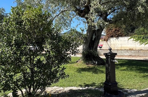 Cerveteri Villa | LUXURY VILLA CON PARCO E PISCINA FULL OPTIONAL