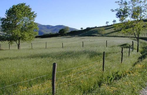 Umbertide House | Maridiana Alpaca Country House
