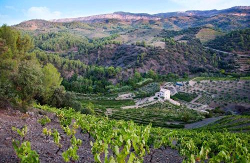 Torroja del Priorat House | MAS ALSERA. Masoveria d'Agroturisme