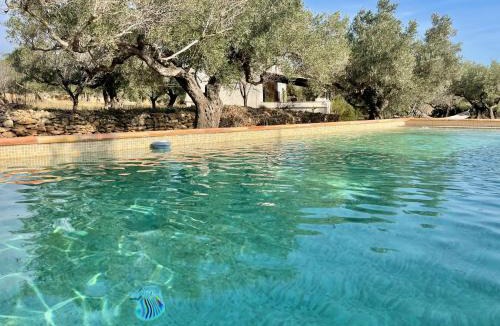 Tortosa House | Mas del Ginjol