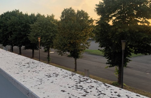 Montegrotto Terme Apartment | MAX'S RESIDENCE:Cozy modern apartment with pets allowed