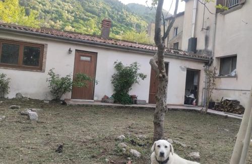 Quartiere XXIV Don Bosco Apartment | Molise Garden Apartments Renato