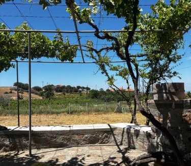 Ayvacik House | Moray pansiyon