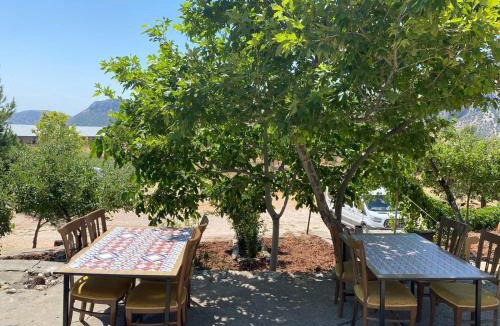 Kahta Hotel | Nemrut Tarihi Hotel
