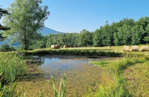 Compiano Apartment | Oasi di pace nella Val di Taro